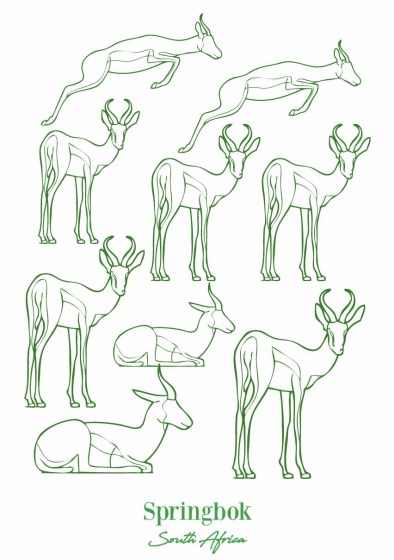 contour springbok tea towel